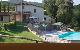 Fattoria Loppiano And Agriroom Regina Mundi